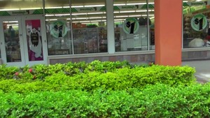 Street BlowJobs: Exploring New Horizons of Kink