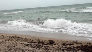 Milf Hunter: Beachside Babes and Big Swells