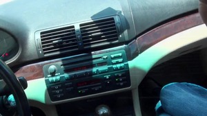 Street BlowJobs: Hairy Bush and Money in My Car