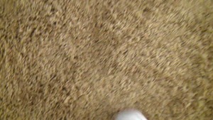 Street BlowJobs: Her Friend's Betrayal