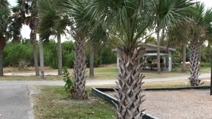 Street BlowJobs: Scoring Un suspecting Girls