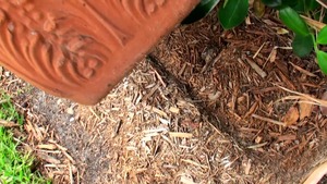 Milf Hunter: Unexpected Visitor's Surprising Treat