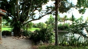 Street BlowJobs: When Fate Brings Us Together by the Lake