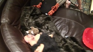 Real Slut Party: Foursomes and Facials: Halloween Horror