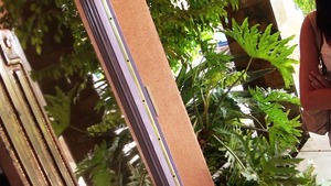 I Know That Girl: Explicit Rebound Action for My Young Pal