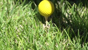 Big Tits In Sports: Pussy Filled with Cum