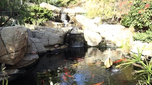 Teens Like It Big: Crazy Party Leads to Wet Pussies