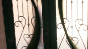 Mommy Got Boobs: Stepmom Steals the Show (and Her Son-in-Law)