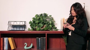 Big Tits At Work: Tits Galore in The Office