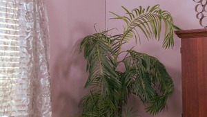 Big Butts Like It Big: Exploring new roles