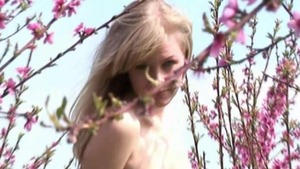 Presenting Margarita