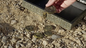 ZZ Series: Programmed for Pleasure 2.0