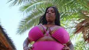 Hot And Mean: Satisfying Desires of the Straight Niche